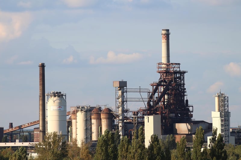 Cast Iron Plant
